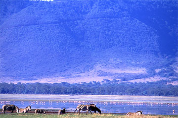 ngorongoro lake tanzania